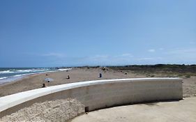 Estrella De Mar